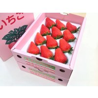 章姫（あきひめ）1トレー・2箱（１２玉/１５玉/２０玉）