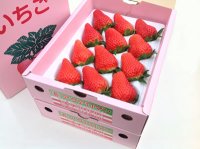 章姫（あきひめ）1トレー・2箱（１２玉/１５玉/２０玉）