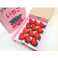 章姫（あきひめ）1トレー・１箱（１２玉/１５玉/２０玉）